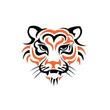 Tigon Vpn | Super Fast VPN